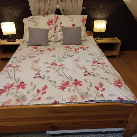 Casa de Férias Izerski Zakatek